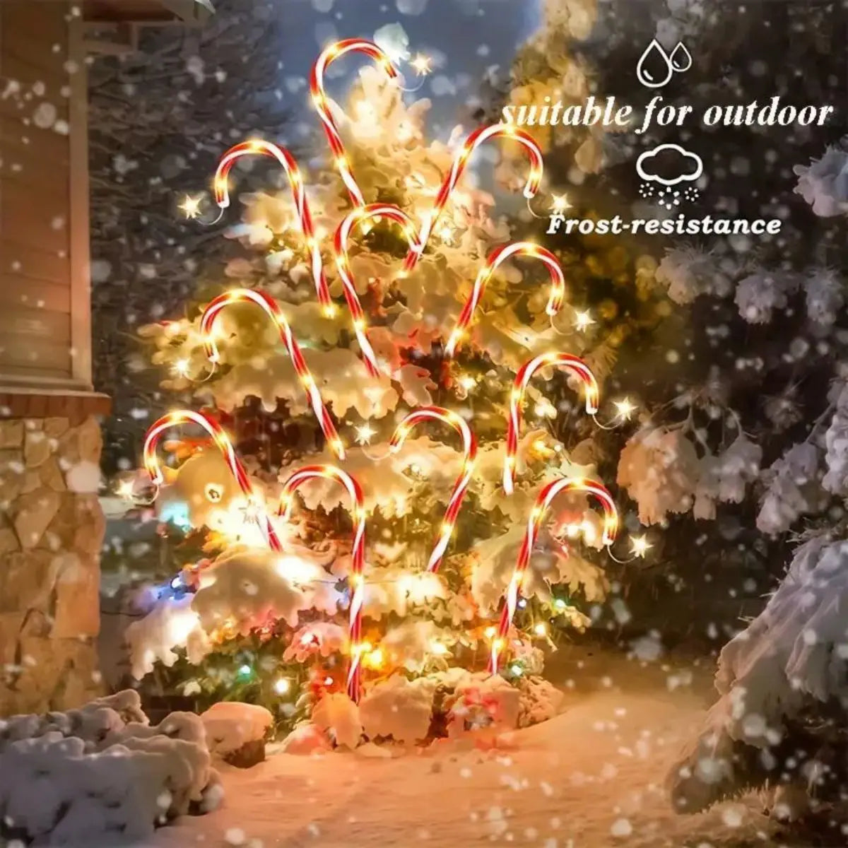 solar powered garden cane lights